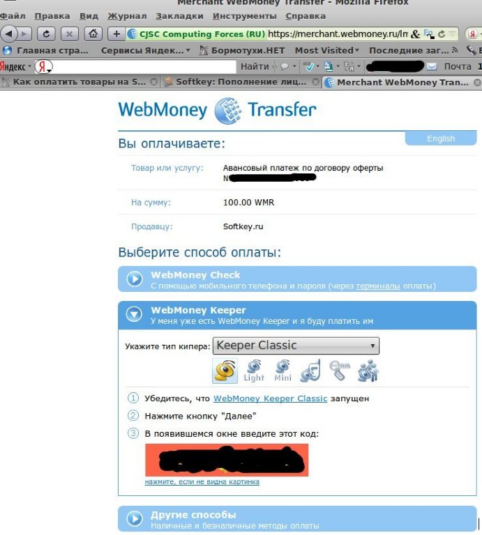Что можно оплатить через webmoney