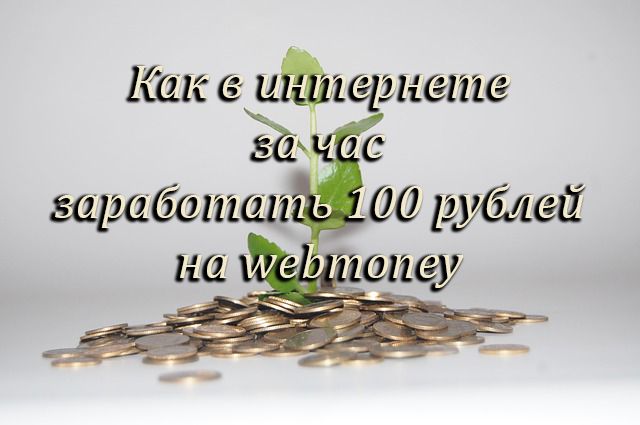 Как быстро заработать 100 рублей на вебмани