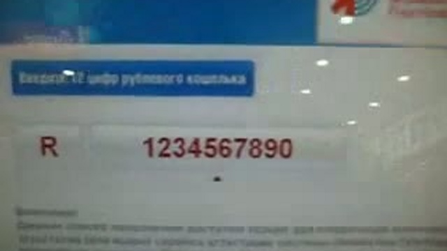 Как положить рубли на вебмани в украине